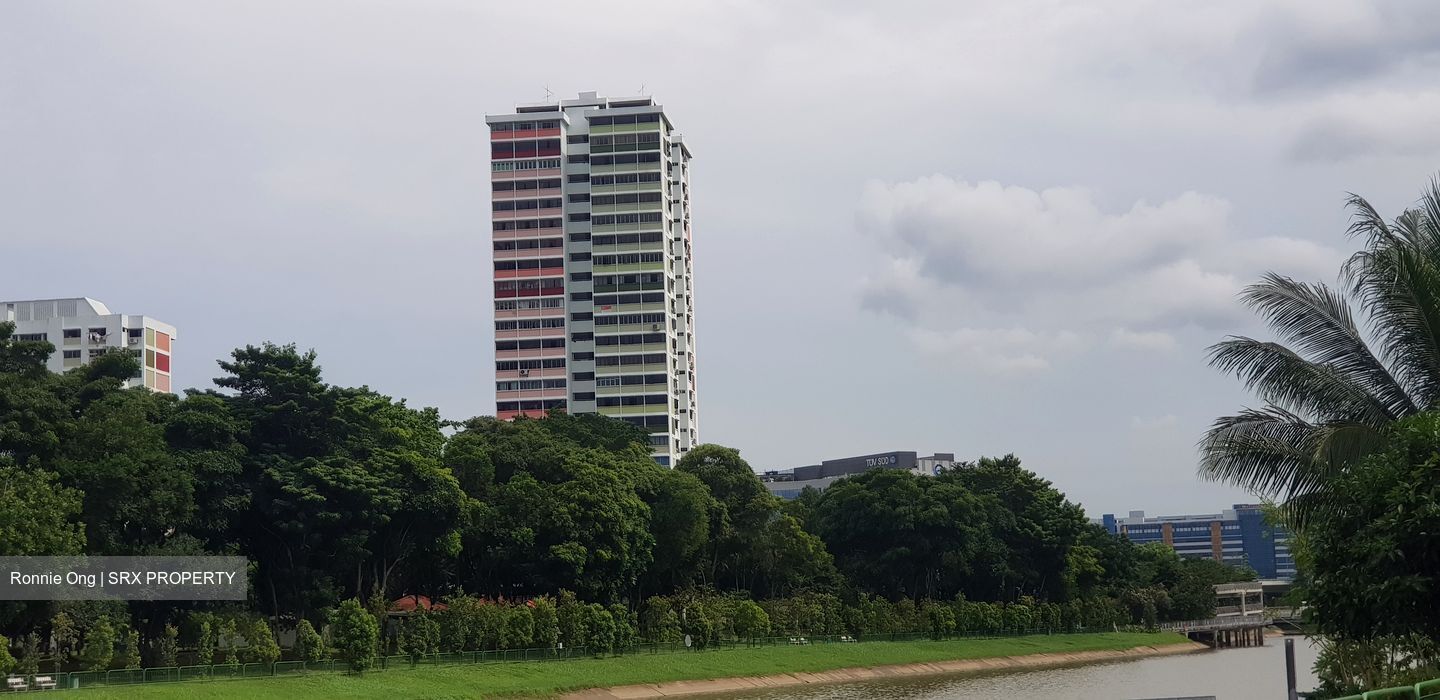 Blk 401 Pandan Gardens (Jurong East), HDB 5 Rooms #477034711